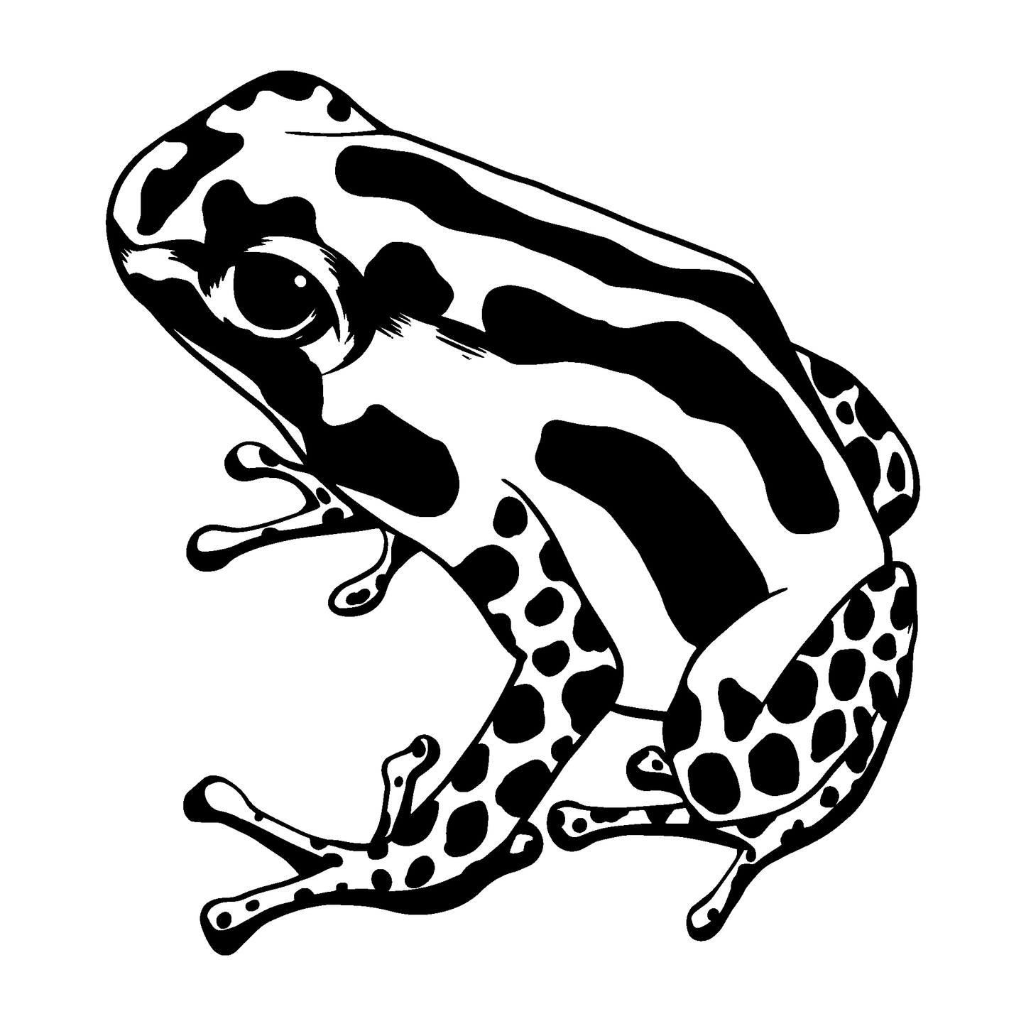 SteezyInk Poison Dart Frog Temporary Tattoo: Black and white illustration, bold design.