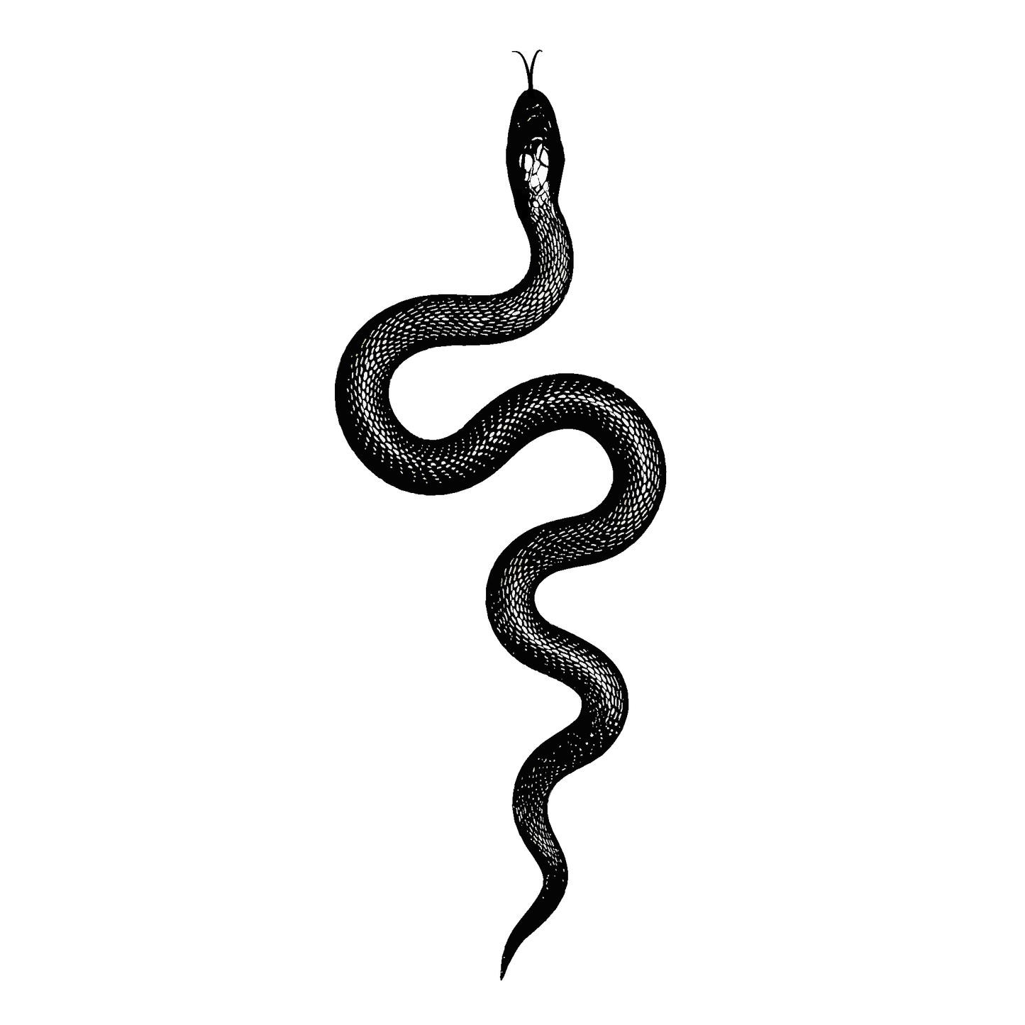 SteezyInk Shadow Serpent Temporary Tattoo - Black snake in an S-curve, symbolizing transformation.