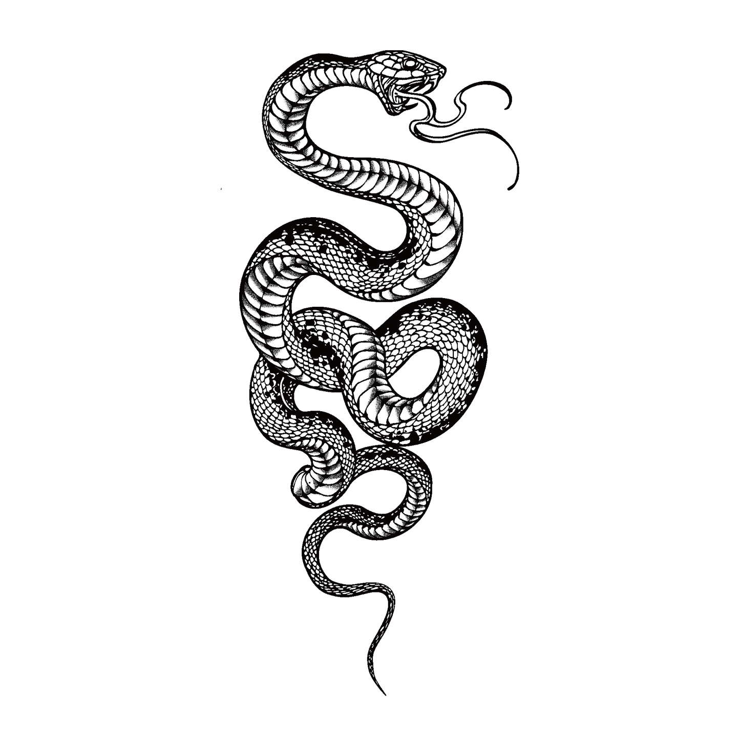 SteezyInk Snake Strike temporary tattoo design. Black ink coiled snake with open mouth, a symbol of power and transformation