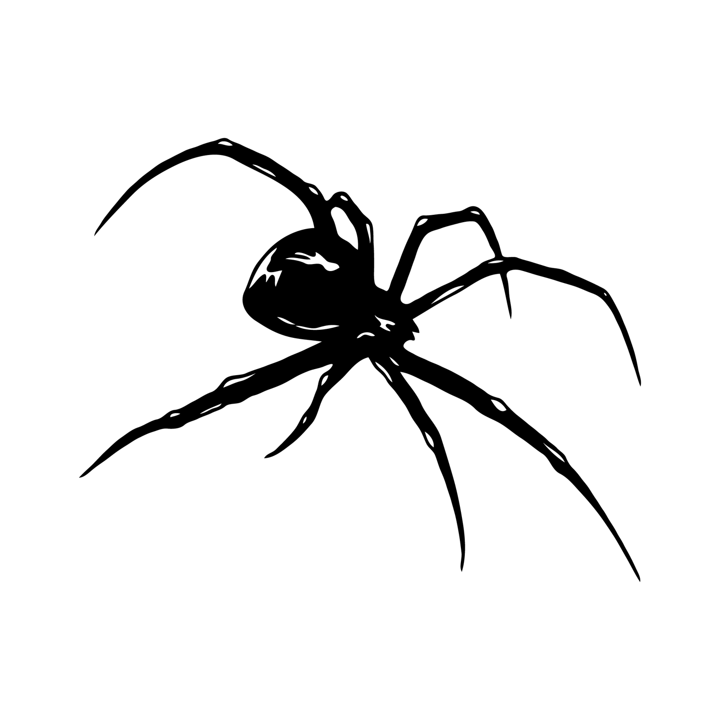 Black spider temporary tattoo design, perfect for spider lovers.