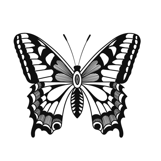 SteezyInk Bold Butterfly Temporary Tattoo design, black and white, nature-inspired and artistic.