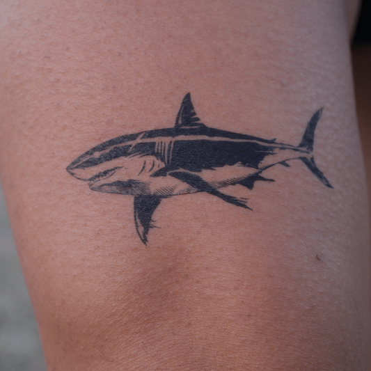 SteezyInk Apex Predator Shark Tattoo, black temporary tattoo design on skin, 4x4 inch size