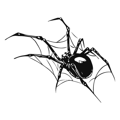 Web Weaver Temporary Tattoo - Black spider on web, perfect for skin, up to two weeks wear.