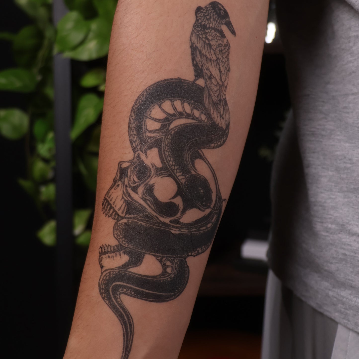 Raven's Nest Temporary Tattoo | 5.5 x 9 inch