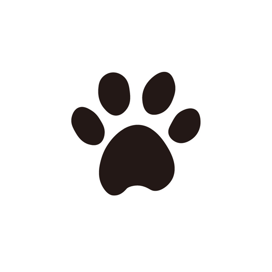 Paw Print Temporary Tattoo | 1 x 1 inch
